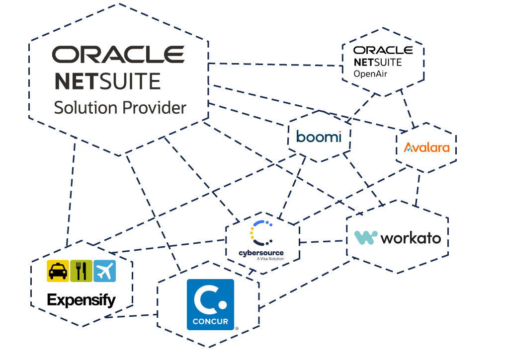 Tac Solutions Group Netsuite Consulting Services